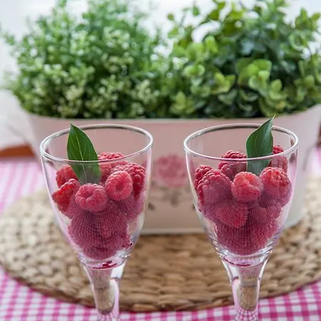 Olga * زاكوباني