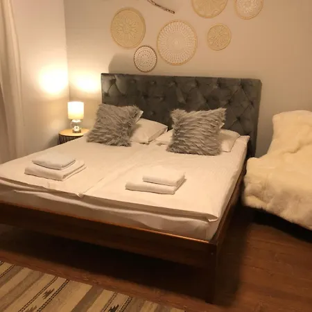 Olga زاكوباني