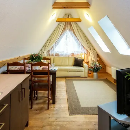 Olga Apartment *